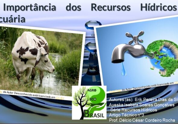 Agro Eco Brasil agua 3