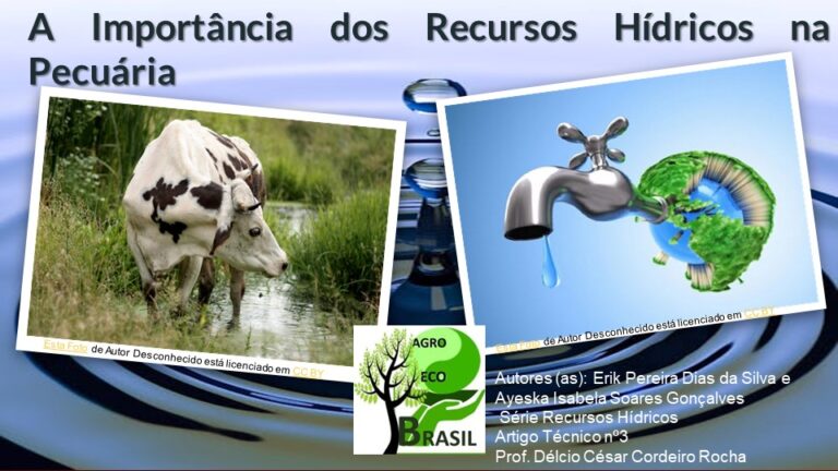 Agro Eco Brasil agua 3