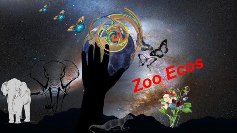 Zoo Ecos